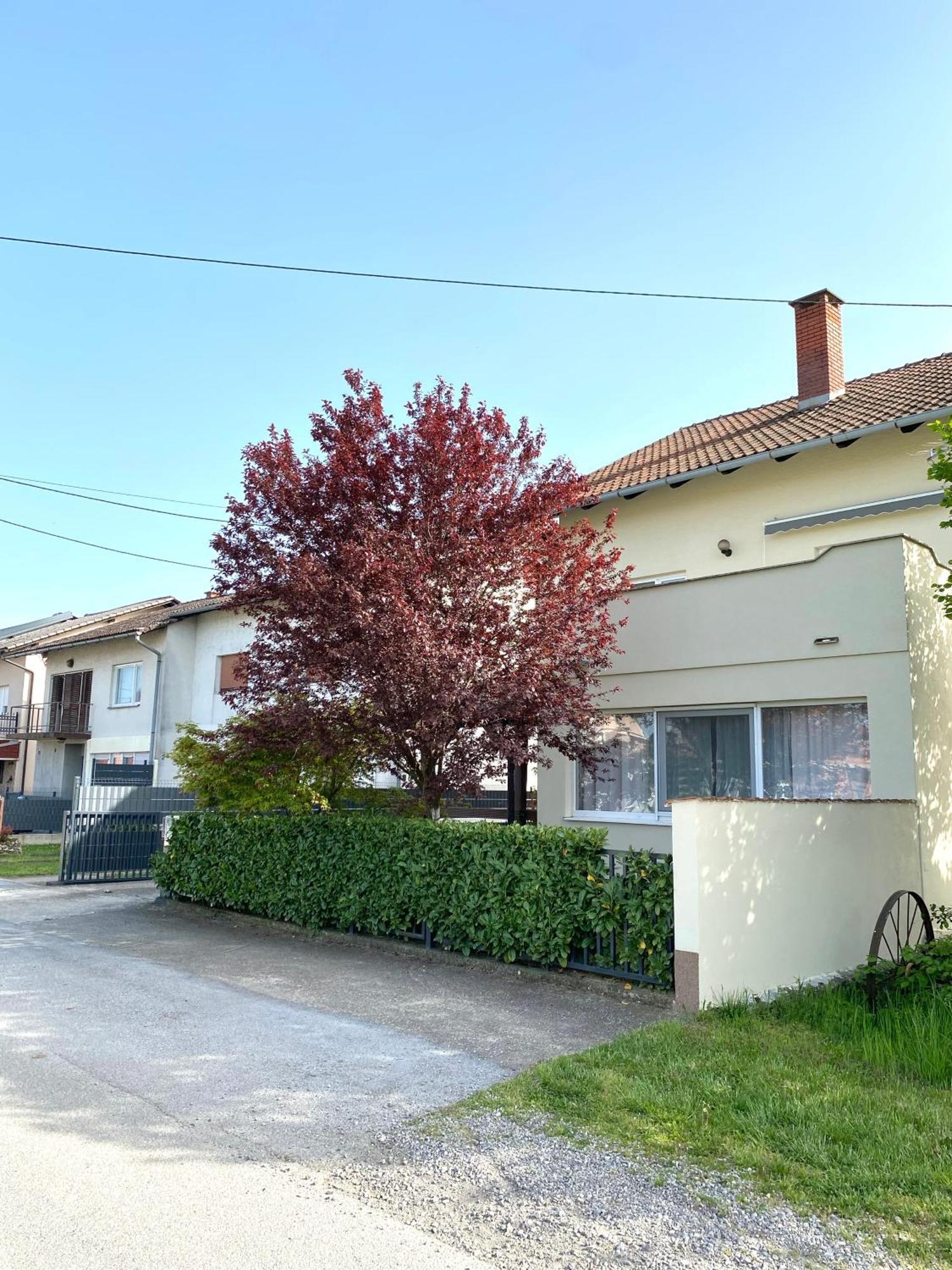 Apartman Lucija Gradici Exterior photo
